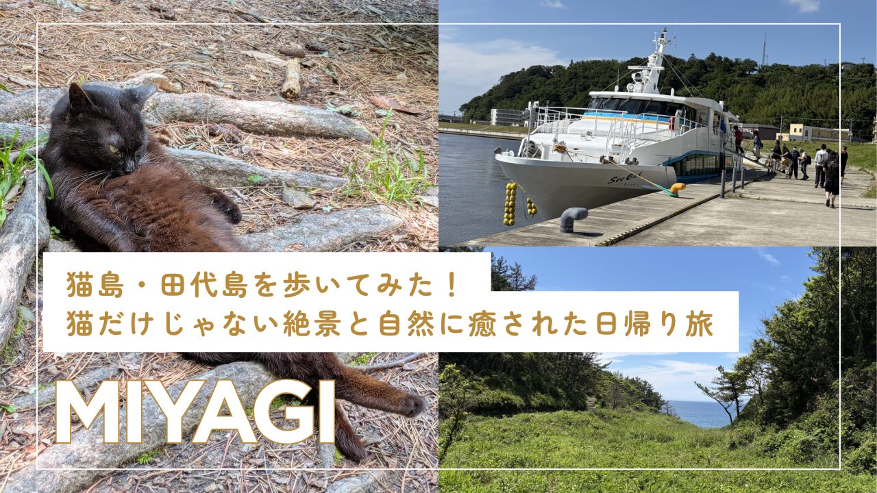 【宮城】猫島・田代島を歩いてみた！猫だけじゃない絶景と自然に癒された日帰り旅